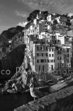 0011# - Marco Pasini fotografo - Monterosso al Mare - Cinque Terre - Liguria