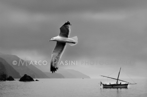 0012# - Marco Pasini fotografo - Monterosso al Mare - Cinque Terre - Liguria
